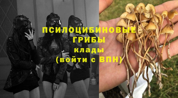 ПСИЛОЦИБИНОВЫЕ ГРИБЫ Верхнеуральск