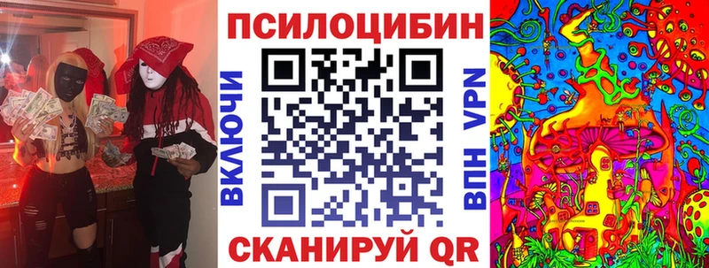 Псилоцибиновые грибы Psilocybe  Плавск 